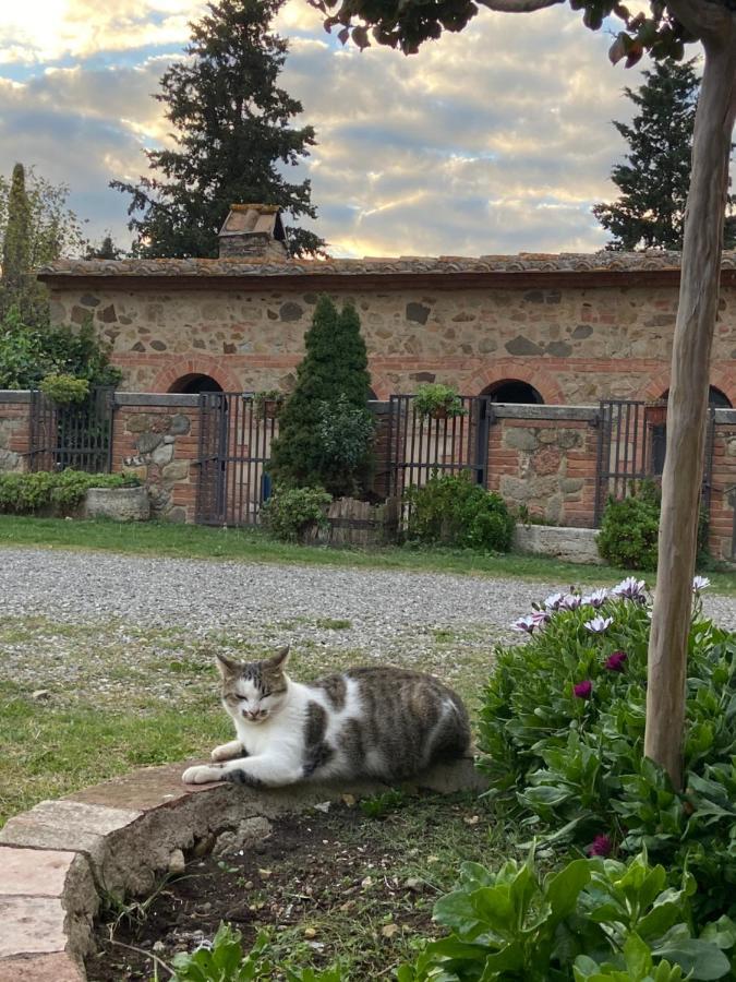 Castiglione dʼOrcia Agriturismo Il Pozzo מראה חיצוני תמונה