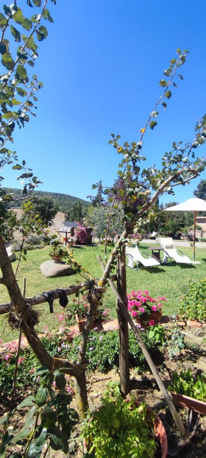 Castiglione dʼOrcia Agriturismo Il Pozzo מראה חיצוני תמונה